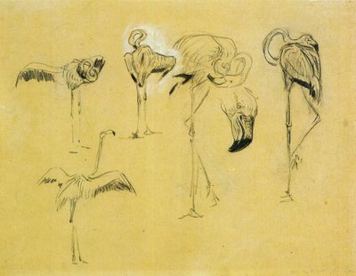 Flamingos by Franz Marc
